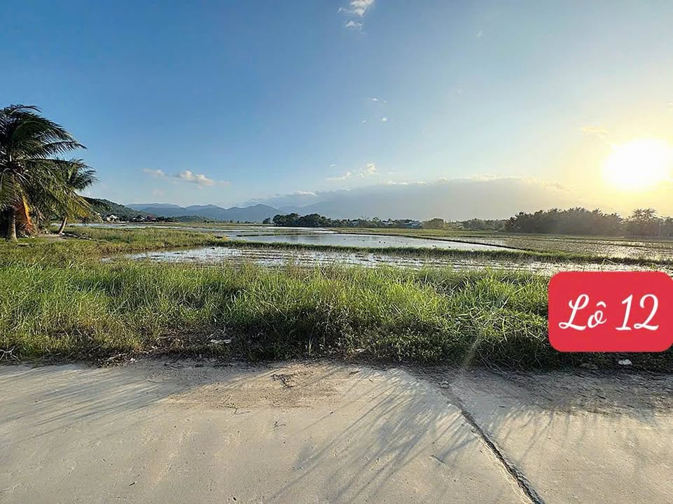 Đất nền tại Tổ Dân Phố Mỹ Trạch, Phường Hòa Thắng, 53m² chỉ 479 triệu - Cơ hội đầu tư tuyệt vời!