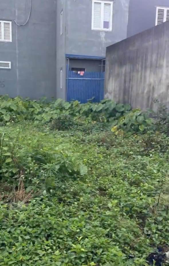 Đất nền Đồng Thái, An Dương 54.2m² giá 1 tỷ - Sổ đỏ chính chủ, ô tô vào tận nơi!