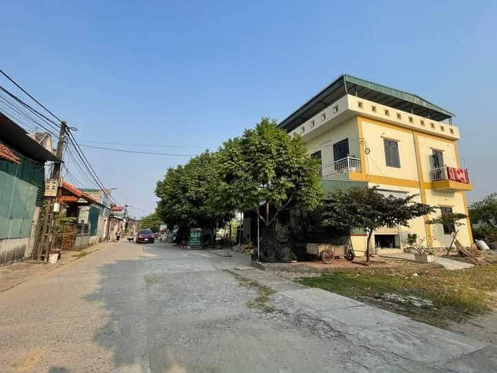 Đất nền Hưng Long, Ninh Giang, Hải Dương 125m² giá 1 tỷ - Đầu tư sinh lời ngay!