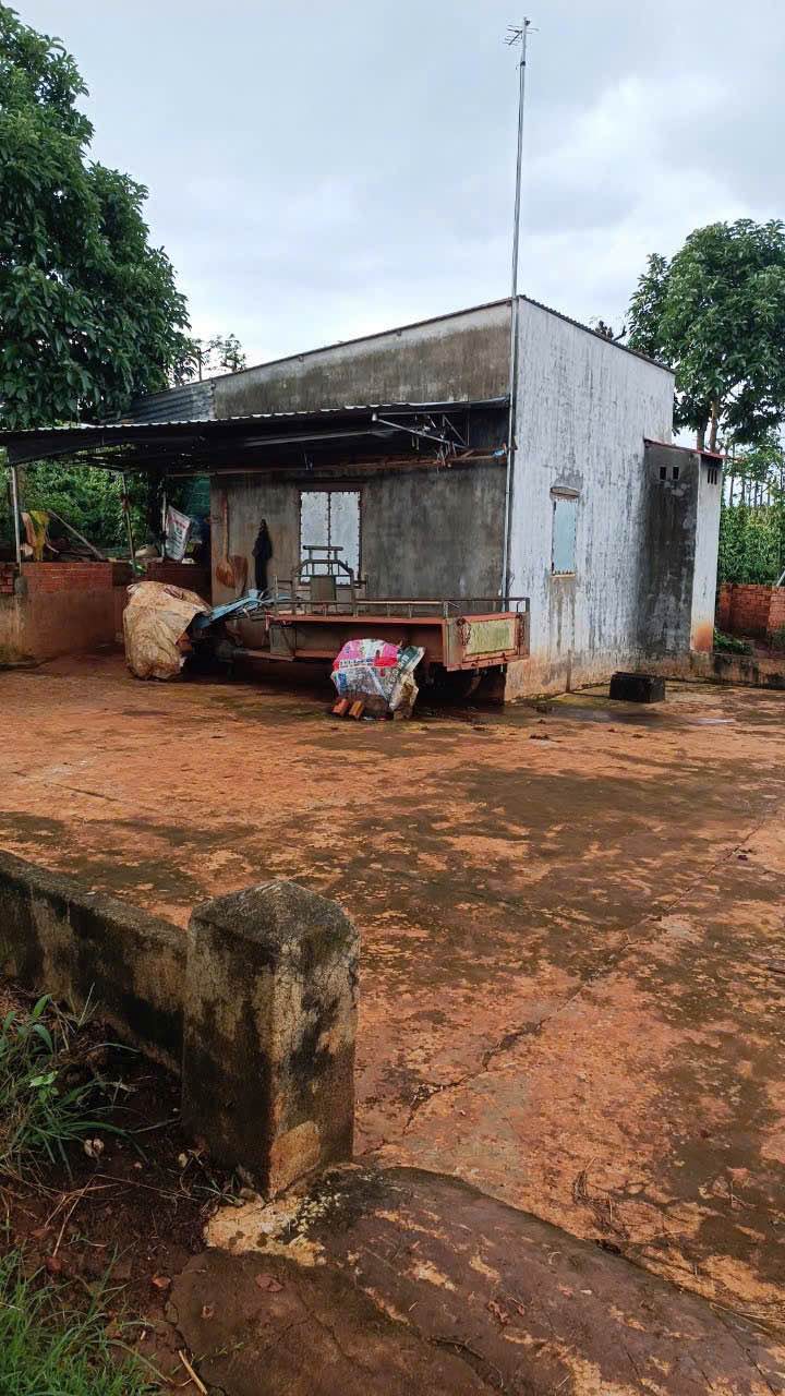 Farm Hòa Thắng 3 sào giá 1.45 tỷ - Đầu tư sinh lời ngay!