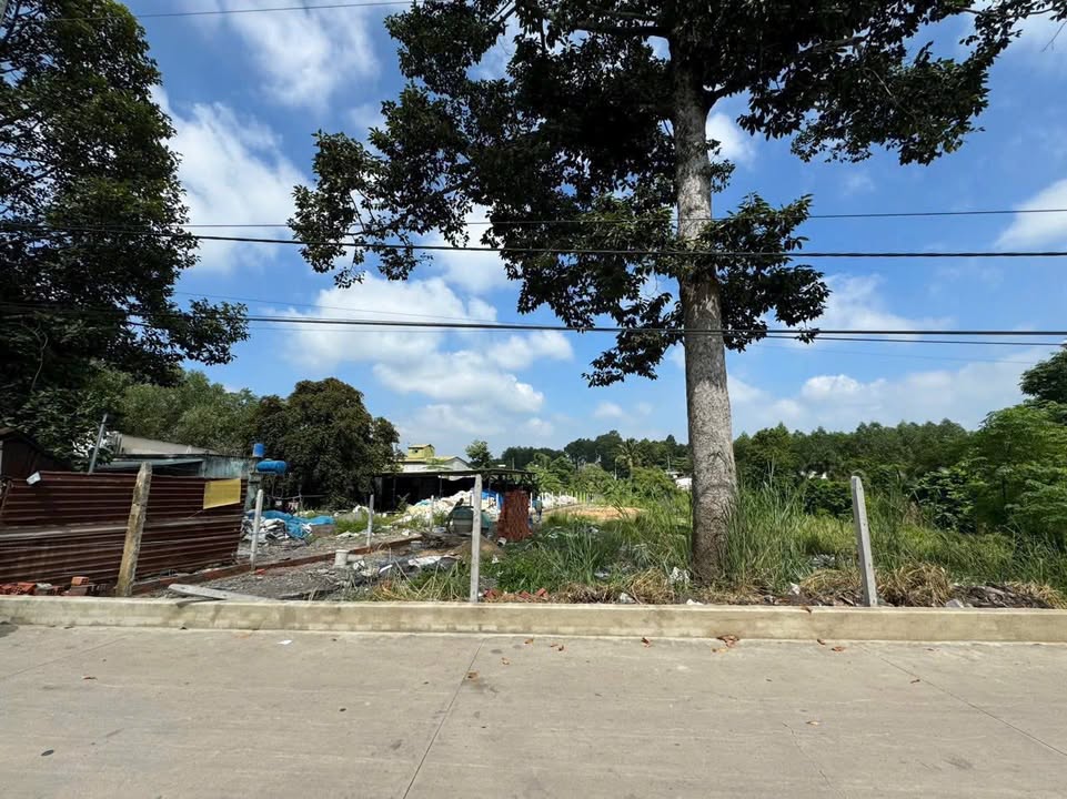 Đất nền An Phước Long Thành 364m² giá 1.25 tỷ - Hạ giá bán 100 triệu!