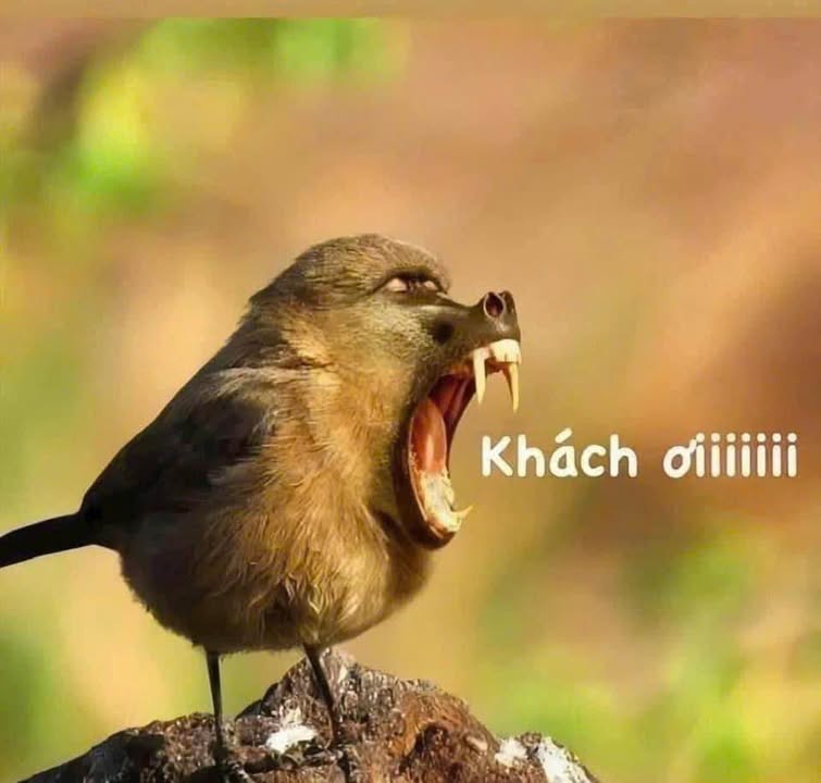 Nhà liền kề mặt tiền đường Mai Hắc Đế 90m² giá 5.5 tỷ - Cơ hội đầu tư tuyệt vời!