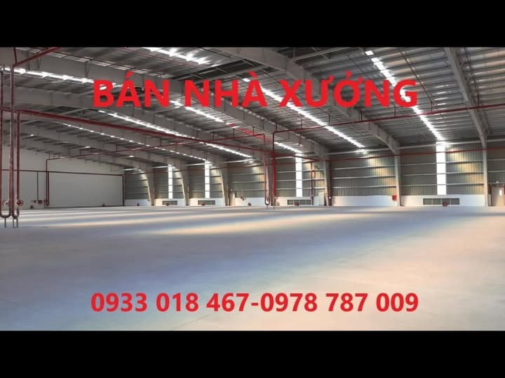 Nhà xưởng Tân Vĩnh Hiệp, Tân Uyên 500m² - Không thể bỏ lỡ!