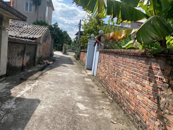 Đất nền Đường An, Bình Giang 113m² giá 1 tỷ - Mặt tiền rộng, cơ hội đầu tư hấp dẫn!