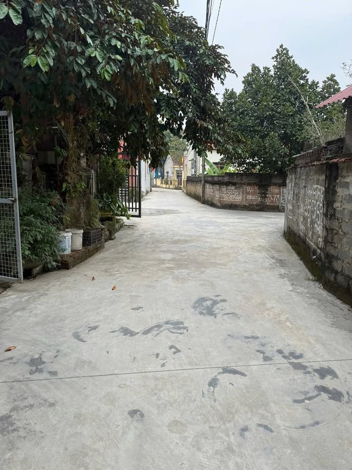 Lô đất Thanh Thủy 136m² giá 2 tỷ - Vị trí trung tâm, tiện ích đầy đủ!