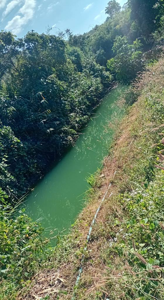 Farm đất cà phê 8000m² tại Nghĩa Hòa, Chư Păh - Cơ hội đầu tư tuyệt vời!