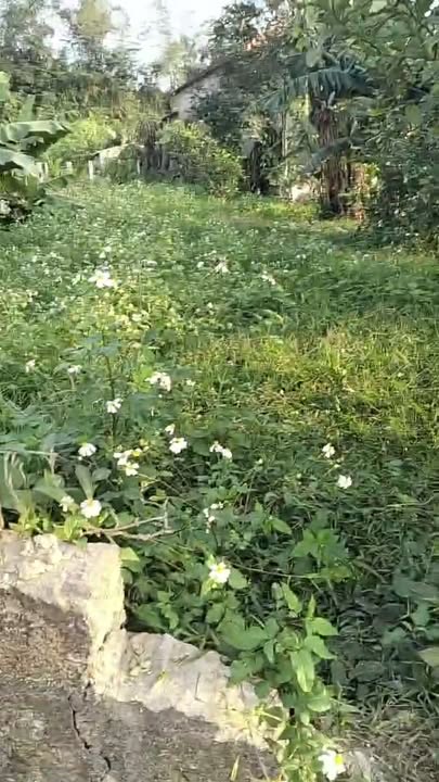 Đất nền Tân Kỳ 12m² giá thỏa thuận - Vị trí đắc địa gần ngã tư N5!