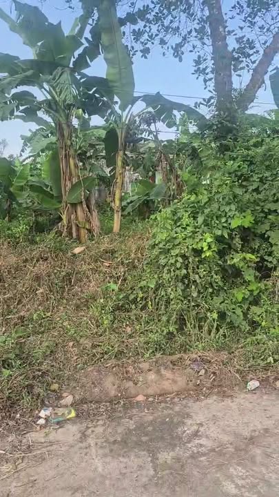 Đất nền khu phố 2 xã Nam Nghĩa 294m² giá 1.5 tỷ - Cơ hội đầu tư tuyệt vời!