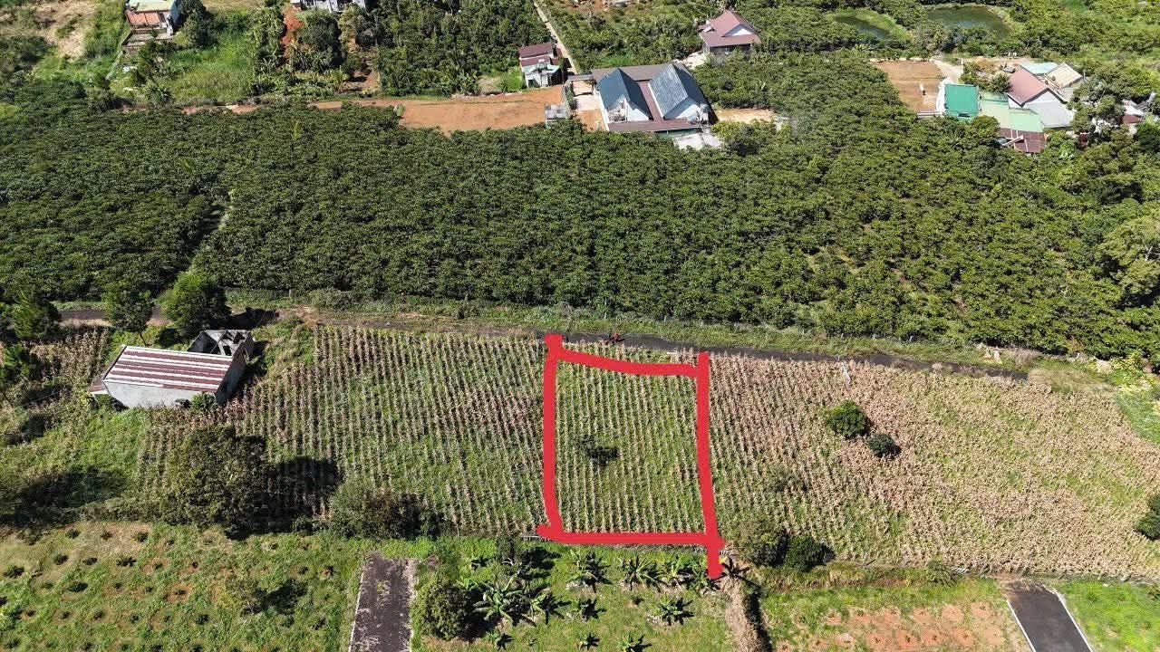 Đất nền Hẻm 422 Lý Thường Kiệt, Lộc Phát, 525m² giá chỉ 850 triệu - Cơ hội đầu tư tuyệt vời!