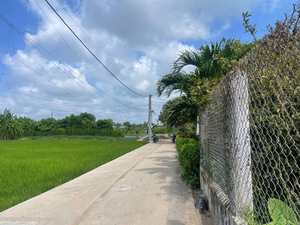 Đất thổ cư 565m² tại P5, TP Tân An - Sổ đỏ chính chủ, giá 550 triệu!