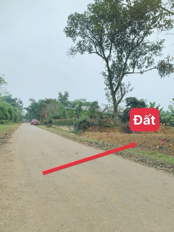 Đất nền Ngọc Sơn, Ngọc Lặc 253m² giá chỉ 200 triệu - Đầu tư sinh lời ngay!