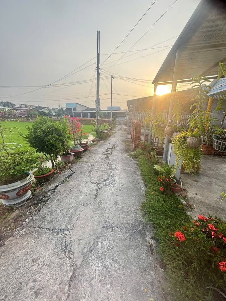 Nhà cũ và đất Gò Công 333m² giá 1.7 tỷ - Bán gấp, chính chủ!