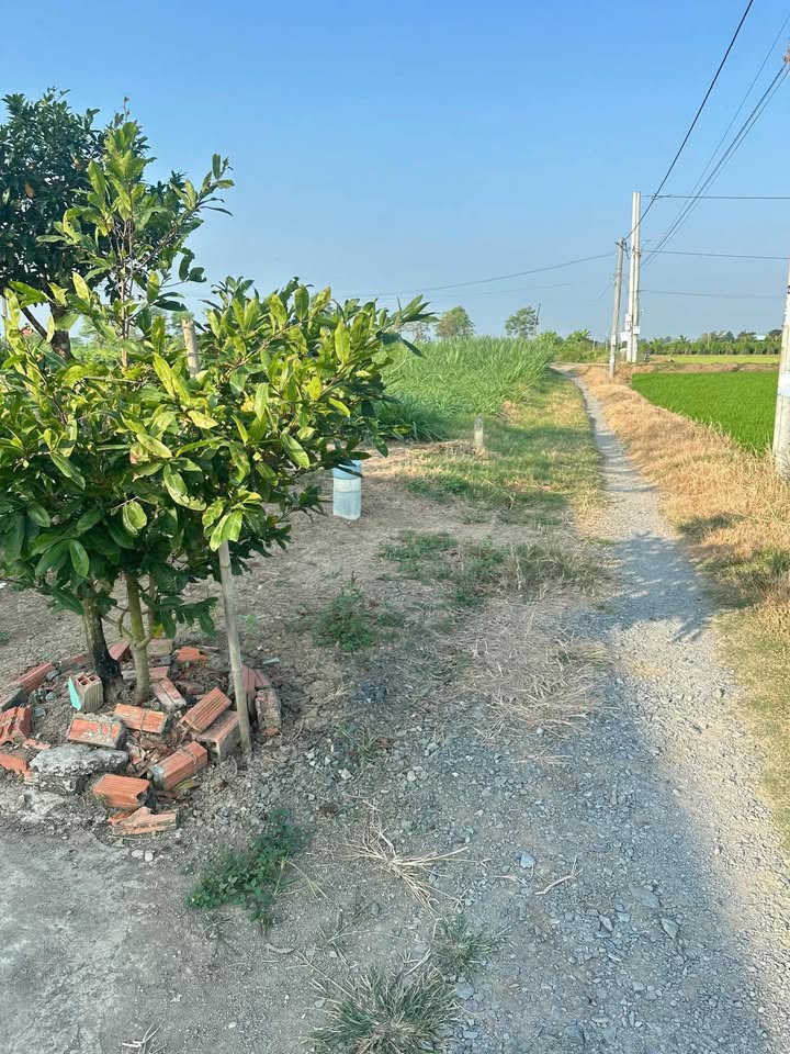 Đất nền Gò Công Đông Tiền Giang 359m² giá chỉ 400 triệu - Sổ hồng riêng, công chứng ngay!