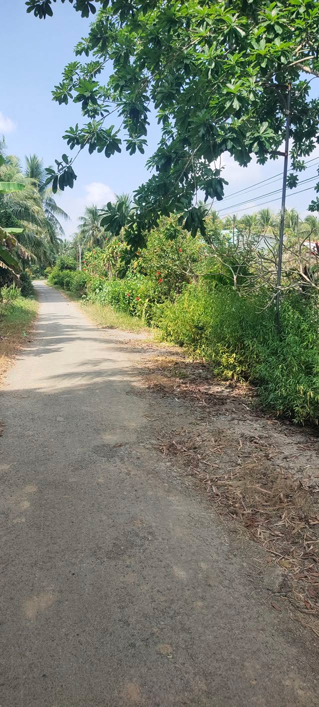 Đất nền 5000m² tại Sông Lộc, Châu Thành, Trà Vinh - Giá chỉ 850 triệu!