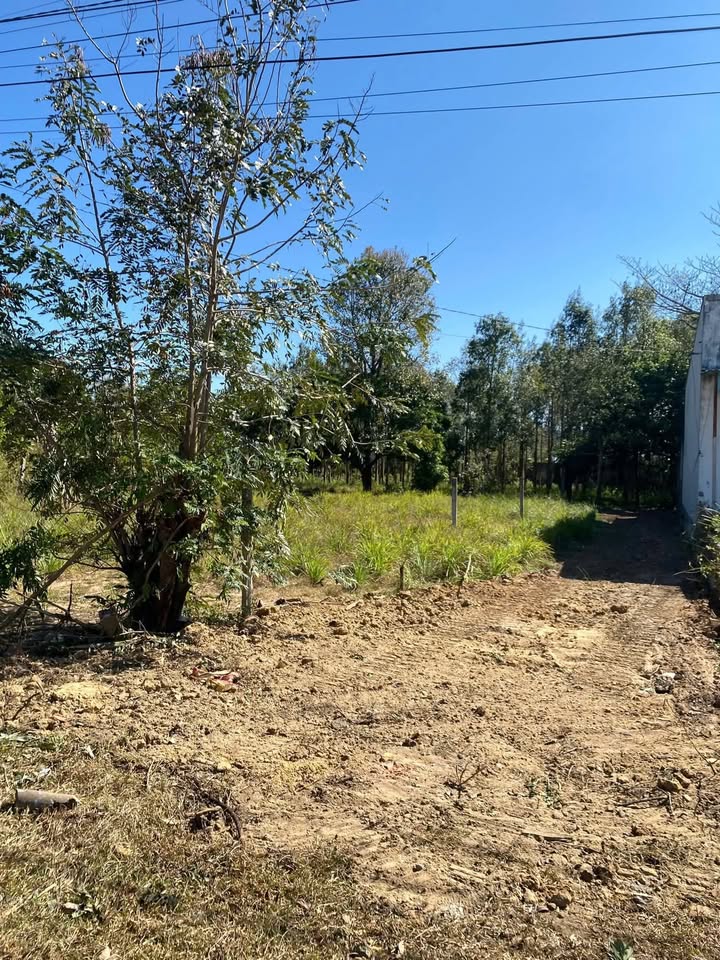 FrontHouse mặt tiền Nguyễn Lương Bằng, 148m² - Thích hợp kinh doanh, giá tốt!