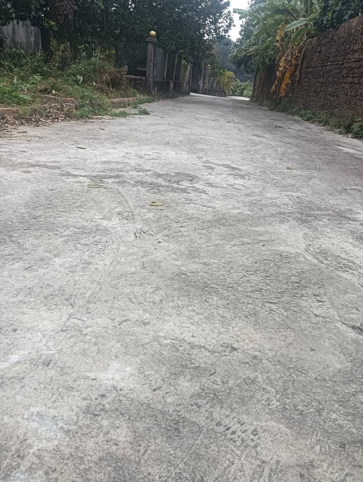 Đất nền Tam Sơn, Từ Sơn, Bắc Ninh 100m² chỉ từ 400 triệu - Cơ hội đầu tư hiếm có!