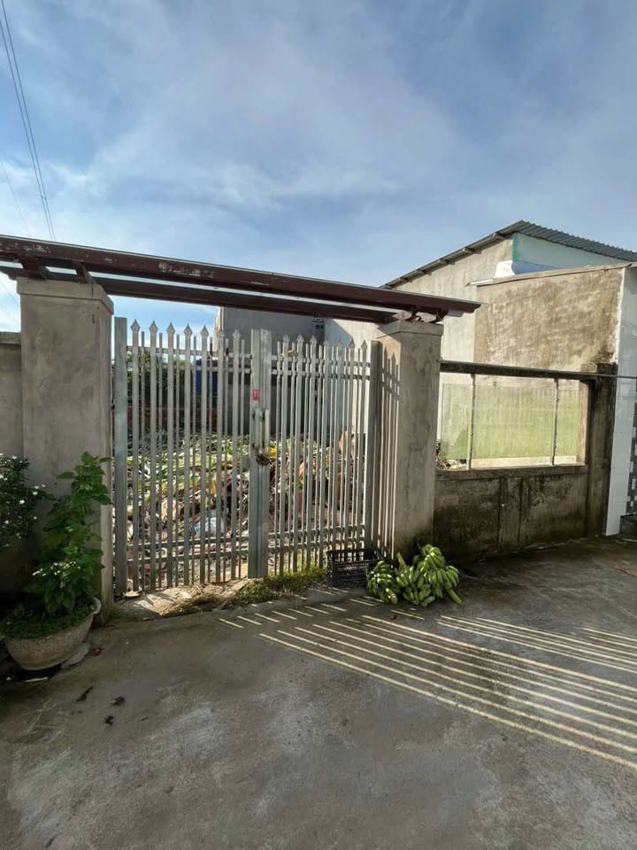 Đất nền hẻm 71 Nguyễn Trung Ngạn, An Bình 181.1m² - Sổ đỏ chính chủ, đầu tư sinh lời!