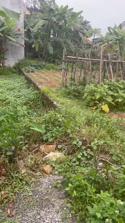 Đất ở Nghi Liên, TP Vinh 142.8m² giá 3.6 tỷ - Đầu tư lâu dài!