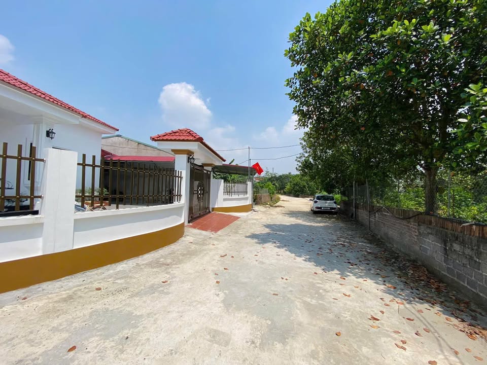 Đất nền 120m² tại Bắc Sơn, Tam Nông chỉ 500 triệu - Cơ hội đầu tư tuyệt vời!