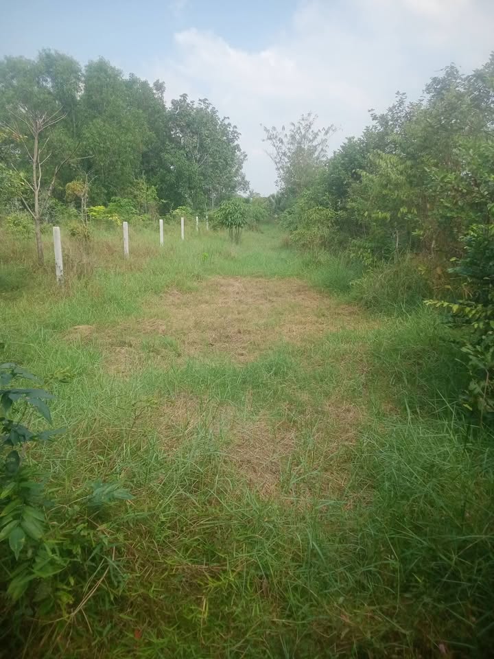 Lô đất Phước Trạch Gò Dầu 270m² giá thỏa thuận - Cơ hội đầu tư hấp dẫn!