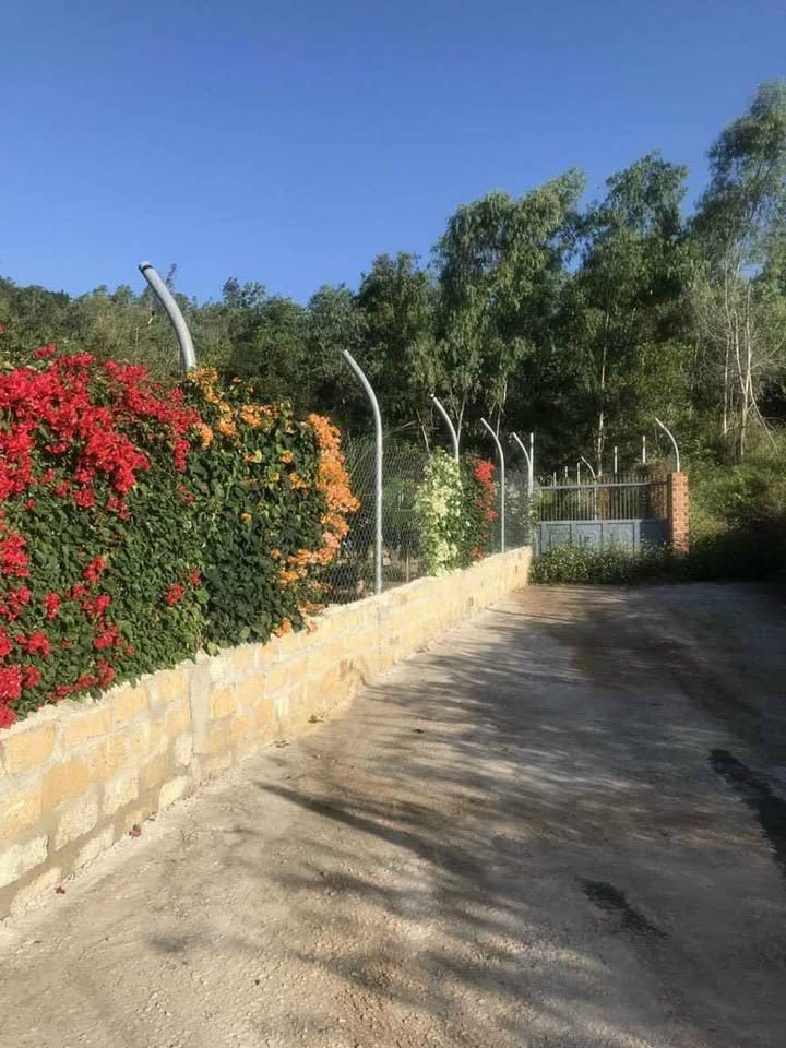 Đất nền Vĩnh Ngọc Nha Trang 100m² giá 370 triệu - Sổ đỏ chính chủ, vị trí đẹp!