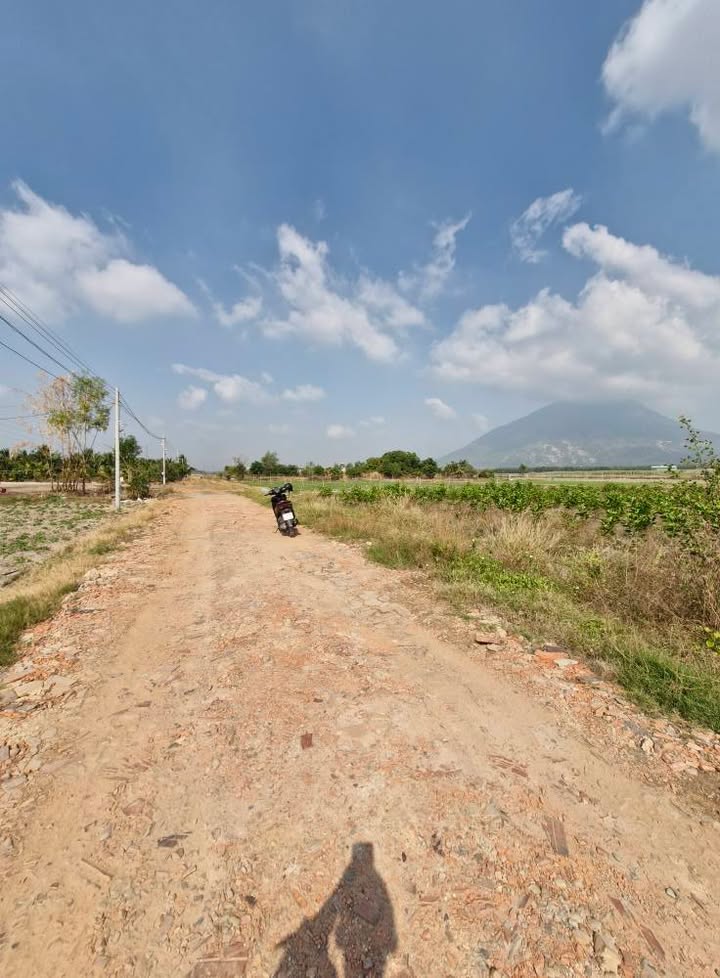 Đất nền Ninh Thạnh Tây Ninh 700m² giá 1.2 tỷ - Hướng Đông Bắc, cơ hội đầu tư tuyệt vời!