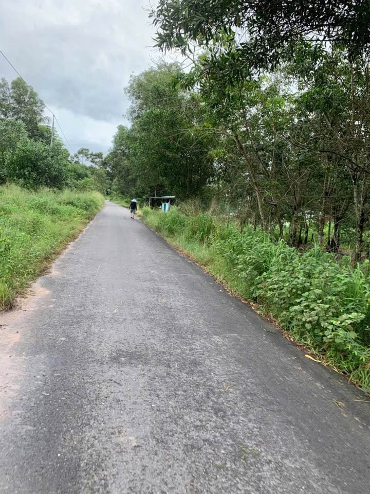 Đất nền mặt tiền đường nhựa Bàu Lùn, Bình Minh, Tây Ninh 21.000m² - Cơ hội đầu tư tuyệt vời!