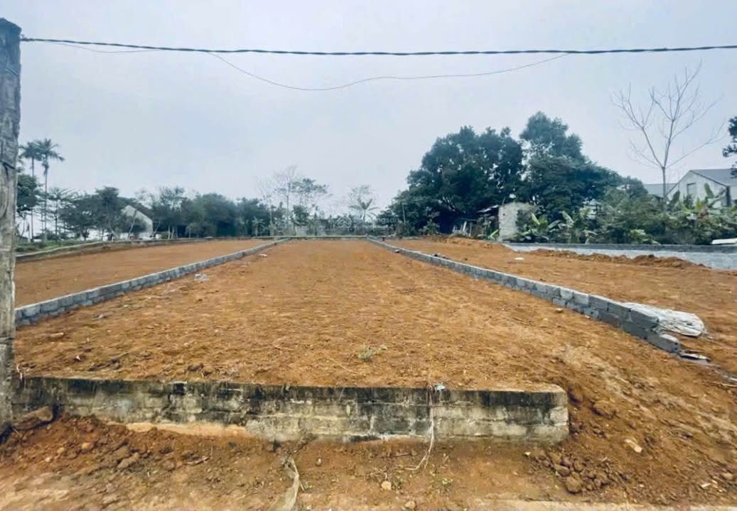 Đất nền Yên Bài Ba Vì 300m² giá thỏa thuận - Không khí trong lành, view núi Tản Viên!