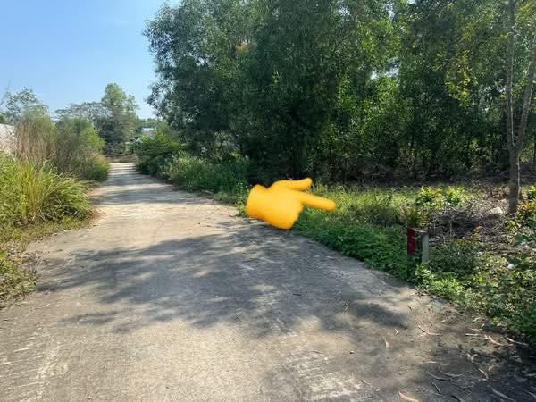 Đất thổ cư xã Đại Phước, Nhơn Trạch 116m² giá 1.65 tỷ - Sổ riêng chính chủ