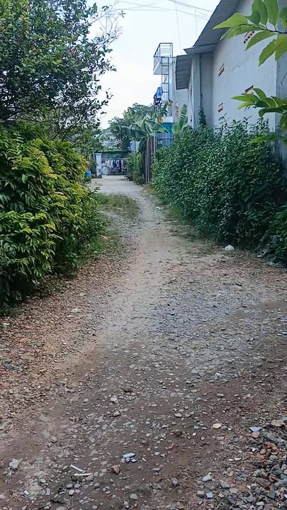 Đất nền Phước Vĩnh An Củ Chi 559m² giá 4.5 tỷ - Tiềm năng kinh doanh lớn!