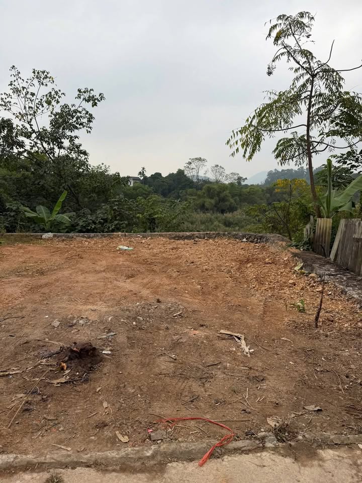 Đất thổ cư Tân Long Thái Nguyên 99m² giá 1.2 tỷ - Đầu tư sinh lời ngay!