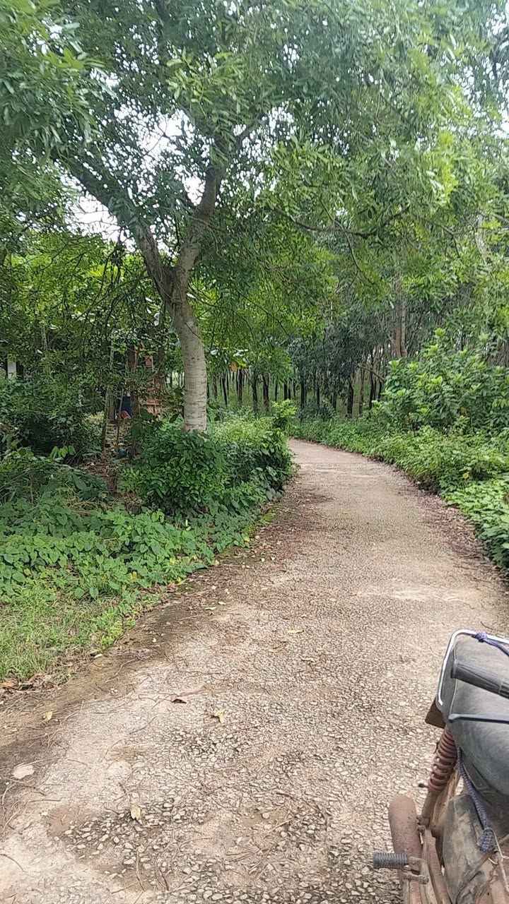 Đất nền Khu phố Tân Thành 1000m² giá 200 triệu - Đầu tư sinh lời cao!