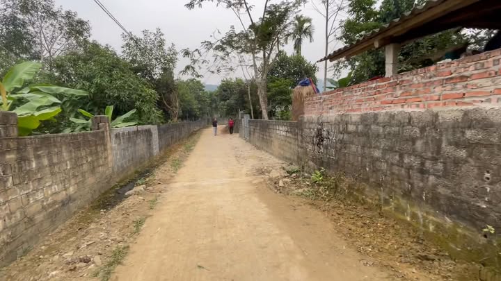 Đất nền Thượng Long Yên Lập 144m² giá chỉ 3xx triệu - Khu vực tiềm năng phát triển!