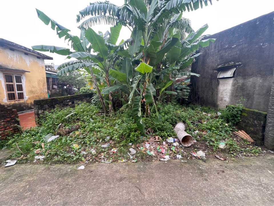 Đất nền Quảng Đông, Thanh Hóa 60m² giá 590 triệu - Đường ô tô vào tận nơi!