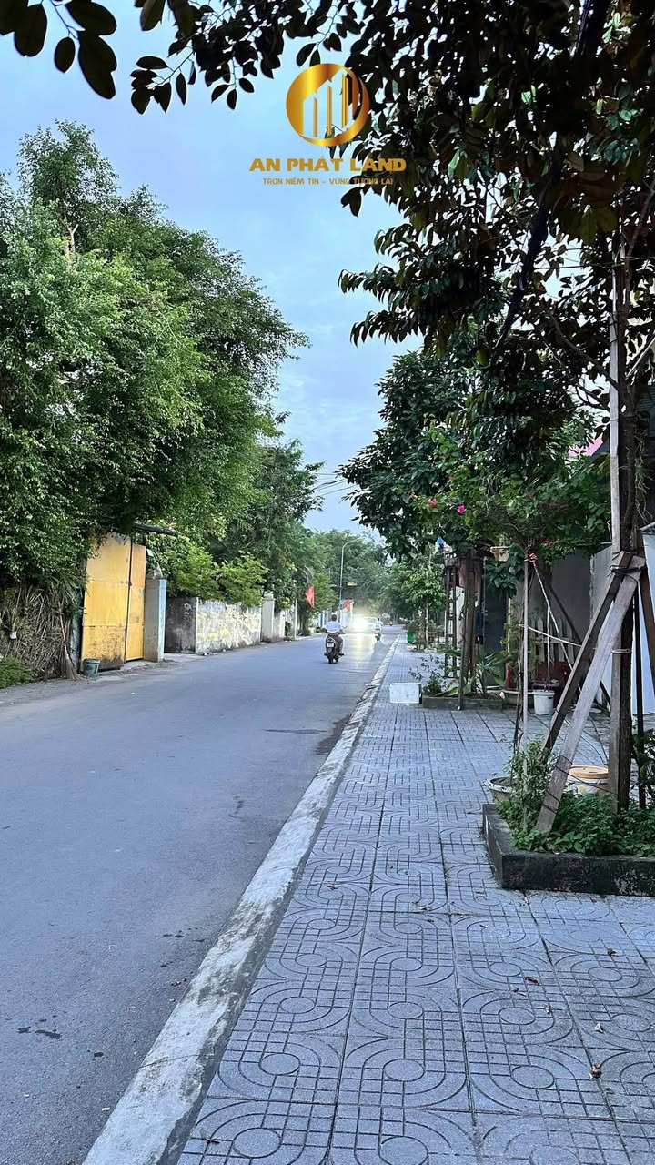 Đất nền Ninh Mỹ Hoa Lư 100m² giá thỏa thuận - Vị trí đẹp, tiện ích đầy đủ!