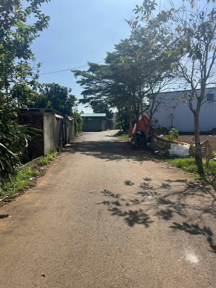 Lô đất 3 mặt tiền đường nhựa Lộc Phát, Bảo Lộc 2044m² - Cơ hội đầu tư hiếm có!