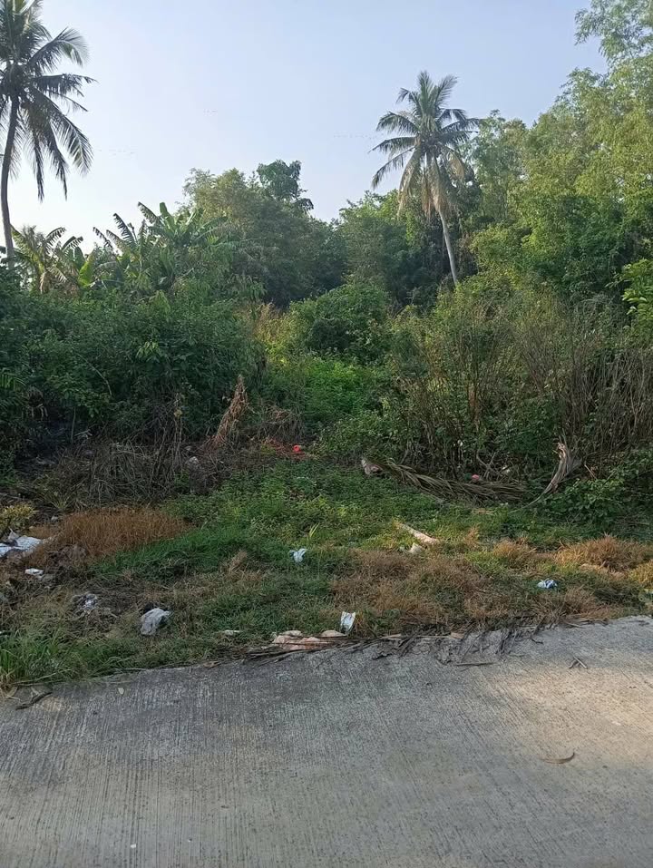 Đất nền 897m² Ấp Trà Hất, Bạc Liêu giá 575 triệu - Cơ hội đầu tư hấp dẫn!