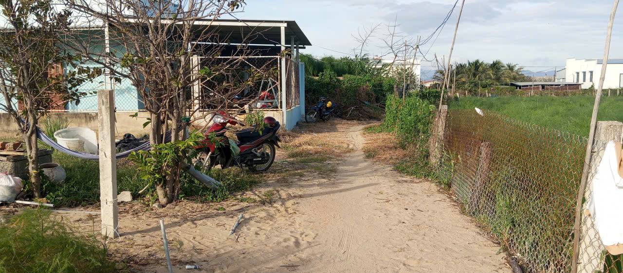 Đất thổ cư đường ô tô tại Phước Dinh, Ninh Thuận 1000m² giá 550 triệu - Cơ hội đầu tư hấp dẫn!