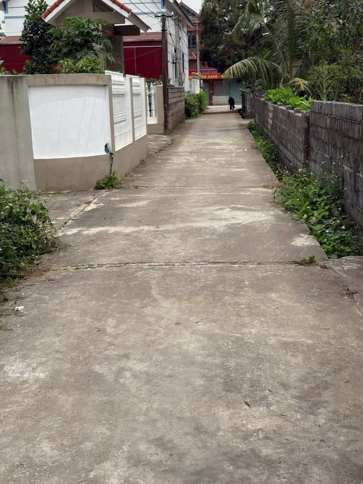 Đất lô góc Tống Trân, Phù Cừ, Hưng Yên 113,5m² giá 1 tỷ - Đầu tư sinh lời ngay!