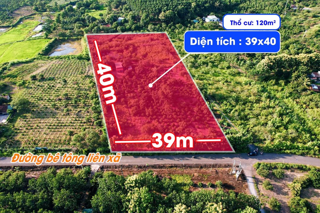 Đất nền đẹp xã Quảng Hiệp, huyện Cư M'gar, Đắk Lắk 1560m² - Giá tốt cho nhà đầu tư!