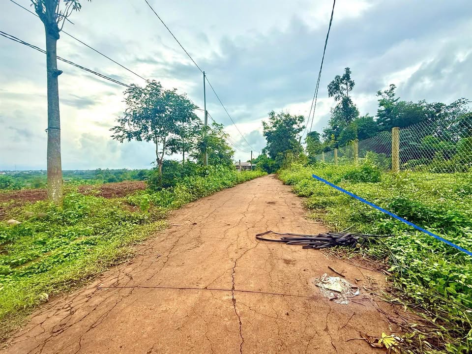 Lô đất Ea Bhôk, Cư Kuin 1158m² chỉ 579 triệu - Đầu tư sinh lời ngay!