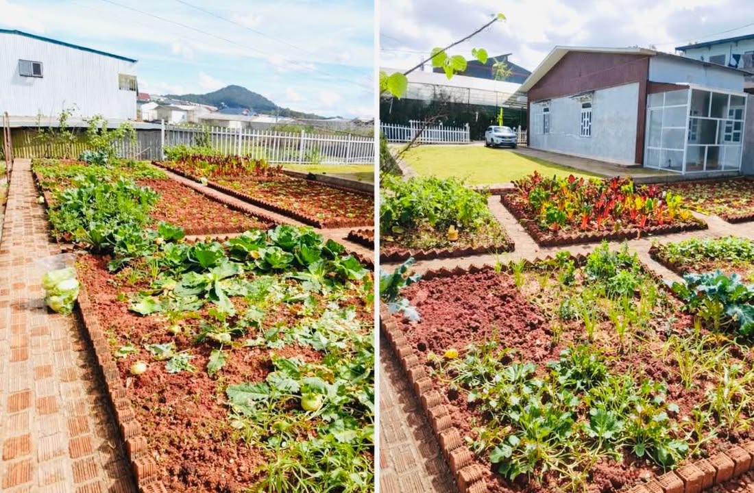 Nhà vườn đường Trần Anh Tông, Đà Lạt 600m² giá 11.5 tỷ - Cơ hội đầu tư hiếm có!