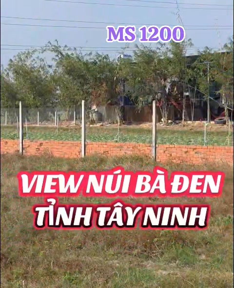 Đất nền Bàu Năng Dương Minh Châu 700m² giá 1.2 tỷ - View Núi Bà Đen tuyệt đẹp!