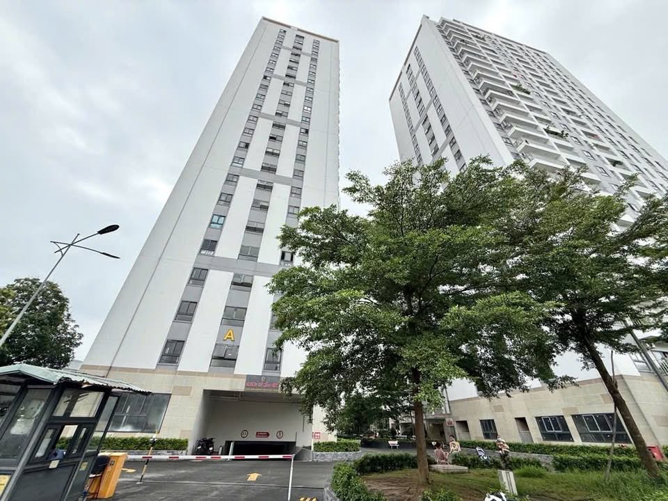 Chung cư Hòa Bình, Bình Hòa 13, Thuận An 83.2m² giá 2.4 tỷ - Sổ hồng chính chủ!