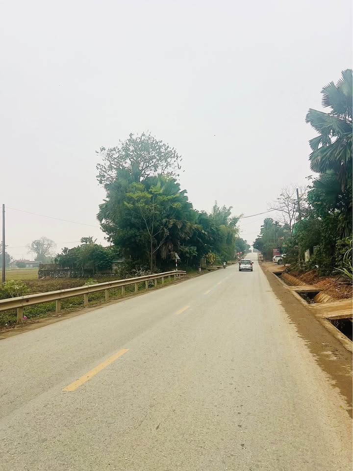 Đất thổ cư mặt đường Quốc lộ 37, Kim Phú, 115m² chỉ 2.1 tỷ - Đầu tư sinh lời ngay!