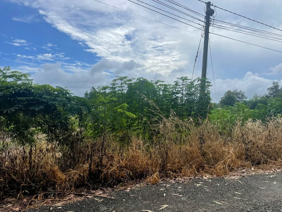 Đất nền Hắc Dịch, Phú Mỹ 15.250m² giá 2.5 tỷ - Cơ hội đầu tư sinh lời!