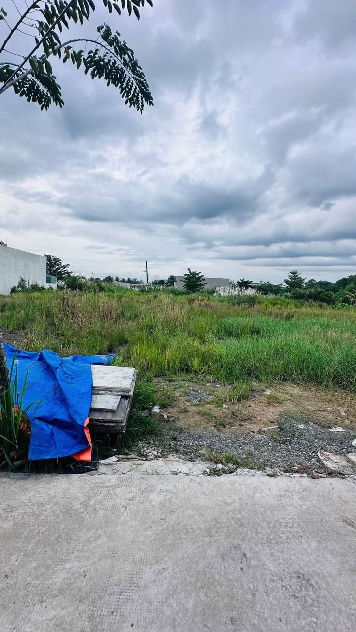 Đất nền Đại Lợi 5x28,5m tại xã Hựu Thạnh - Sổ đỏ chính chủ, giá 1.25 tỷ