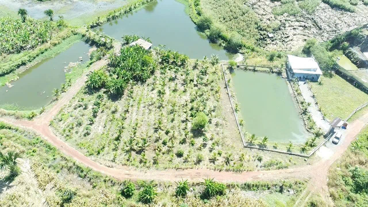 Đất nền Vĩnh An, Vĩnh Cửu 360m² giá chỉ 450 triệu - Sổ hồng chính chủ!