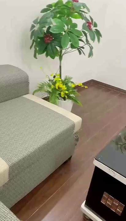 Căn hộ CT10 – Chung cư Đại Thanh 47m² giá 3.27 tỷ - Sổ đỏ chính chủ!