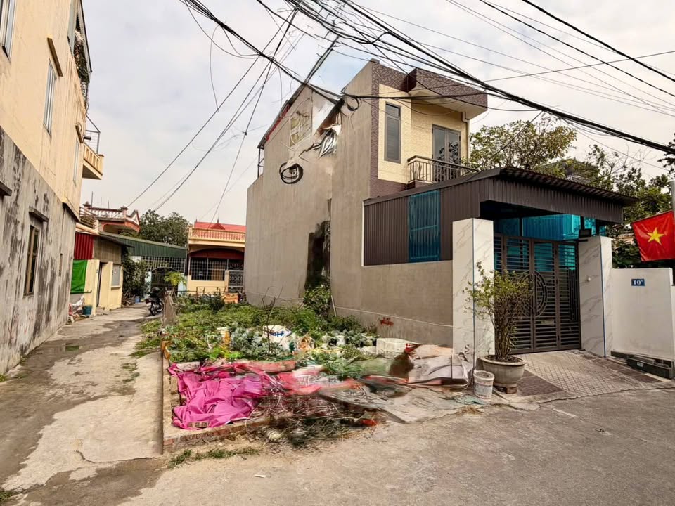 Đất nền lô góc Hồng Bàng Hải Phòng 45-55m² - Vị trí đắc địa, tiện ích đầy đủ!